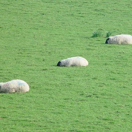 Longueville House 4*