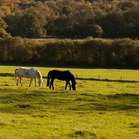 Longueville House 4* 马洛