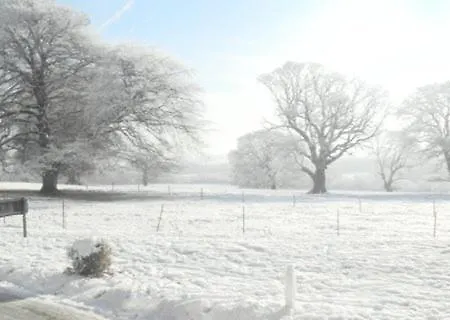 酒店 Longueville House 马洛