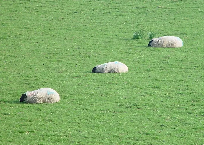 Longueville House 4*