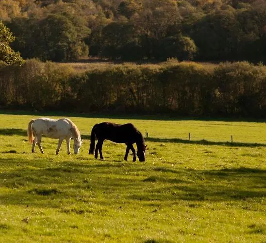 Longueville House 4* 맬로